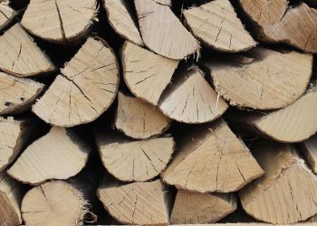 Buche (Hainbuche - Weißbuche) Brennstoffprodukten 